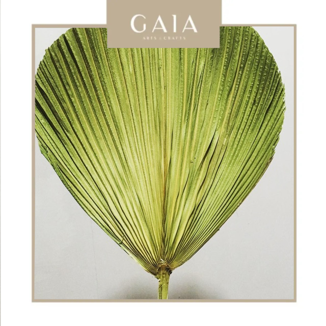 Daun Palem Kering mini bentuk hati