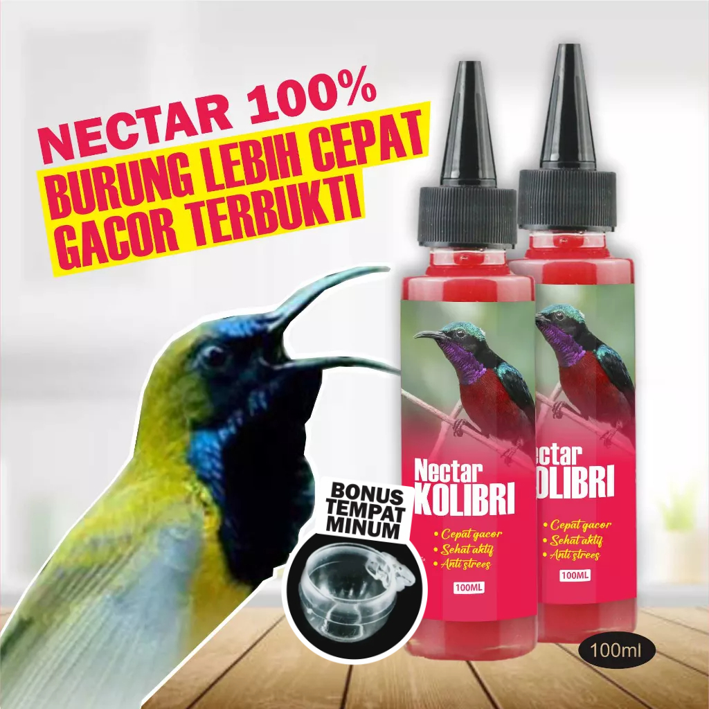 NECTAR SOGON KOLIBRI PERCEPAT GACOR