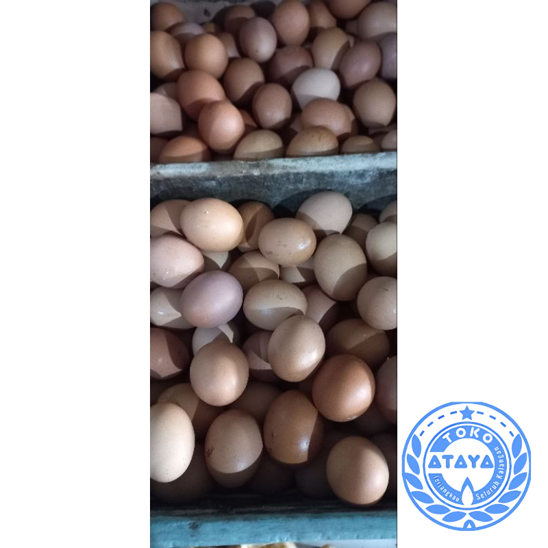 

TELUR AYAM 1KG ENAK (KHUSUS PENGIRIMAN INSTANT)