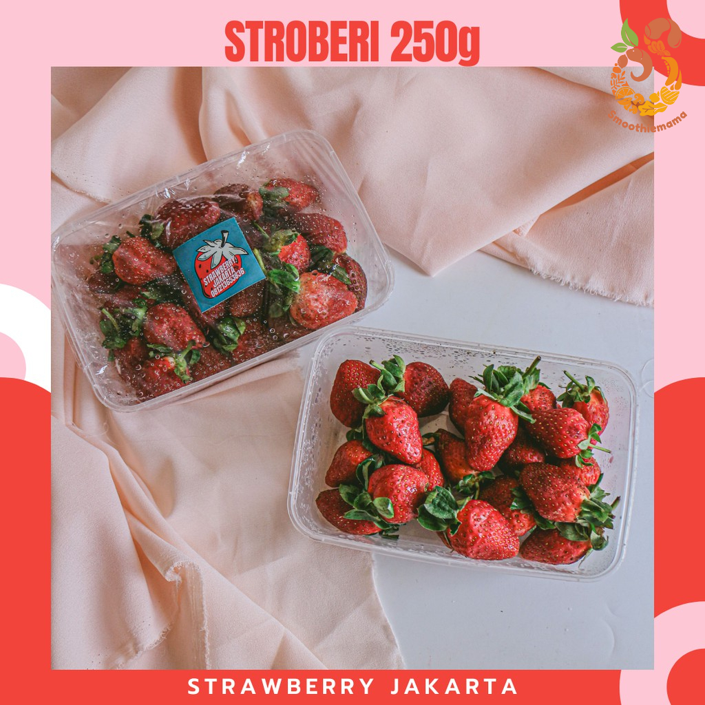 

Buah Stroberi Segar Fresh Lokal Ciwidey Premium Bagus Murah 250g Strawberry Jakarta
