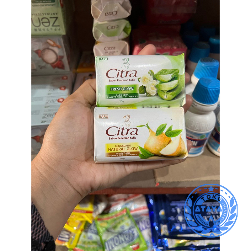 Citra sabun batang