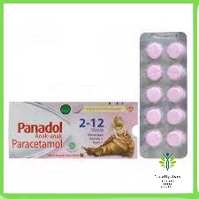 Panadol Anak 1 Strip isi 10 - Paracetamol Anak Usia 2-12 Tahun