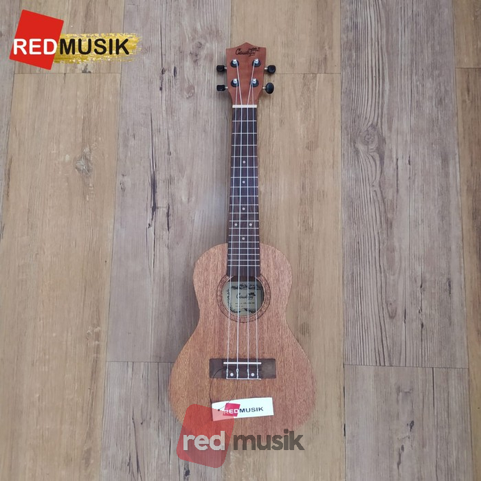 Ukulele Cowboy Concert UK23