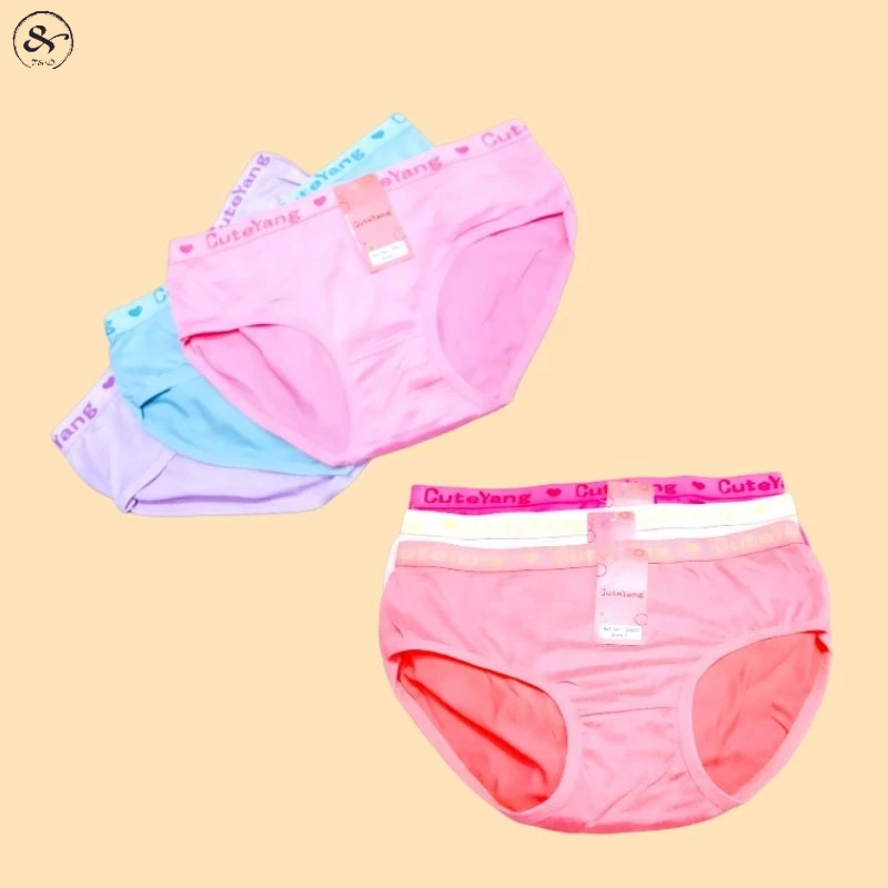 Celana dalam wanita polos karet boxer premium isi 1 lusin
