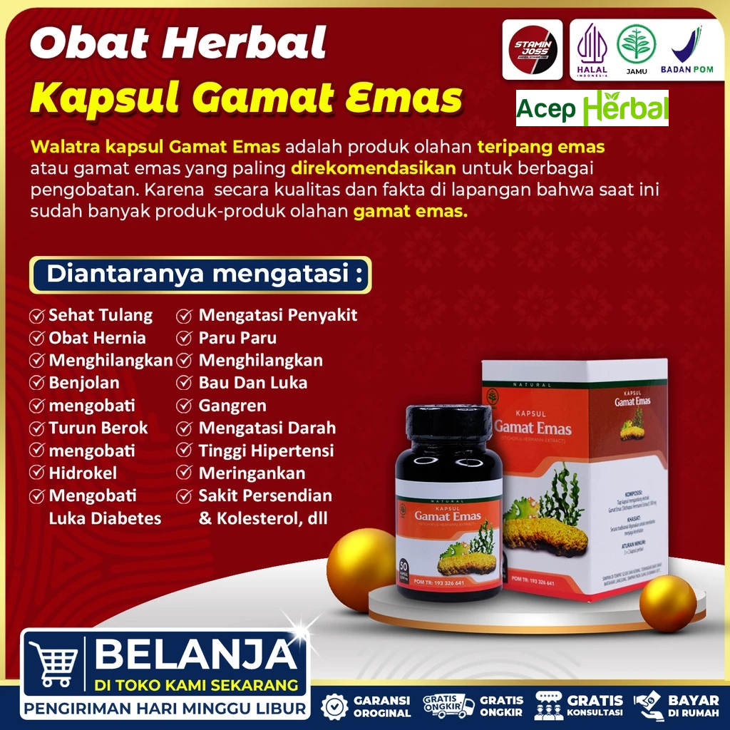 Walatra Gamat Emas Kapsul ACEP HERBAL Original 100% Asli Terbukti Berkhasiat Spesialis Obat Herbal S