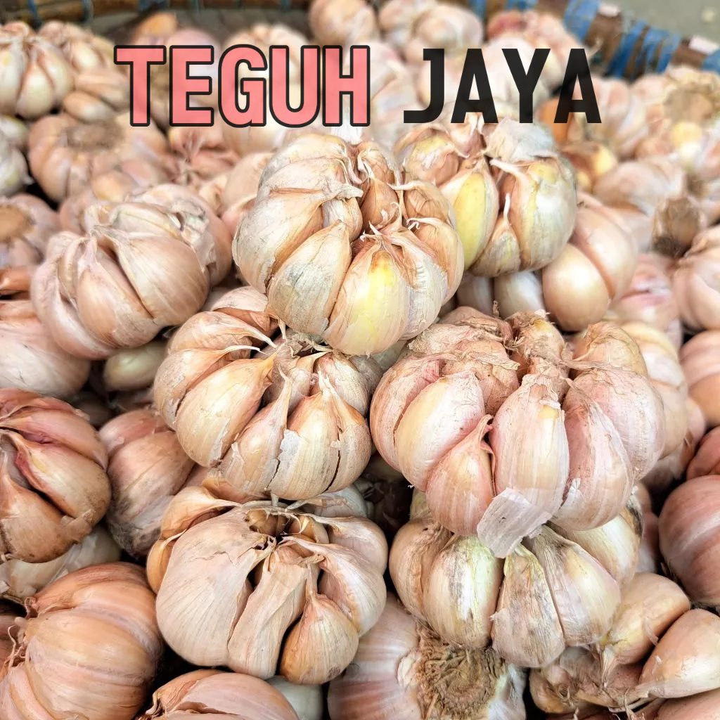 

BAWANG PUTIH (FRESH!!!)