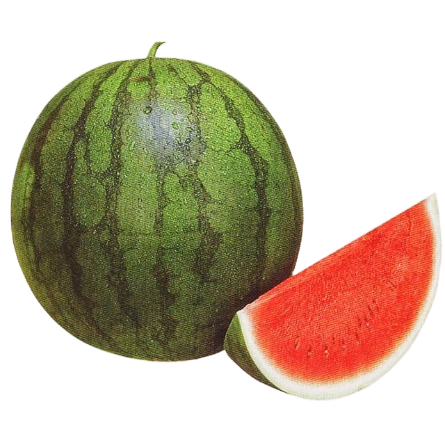 

Buah Semangka Merah / Buah Semangka Tanpa Biji Manis ( 1 pcs 3.5/4.5 kg )