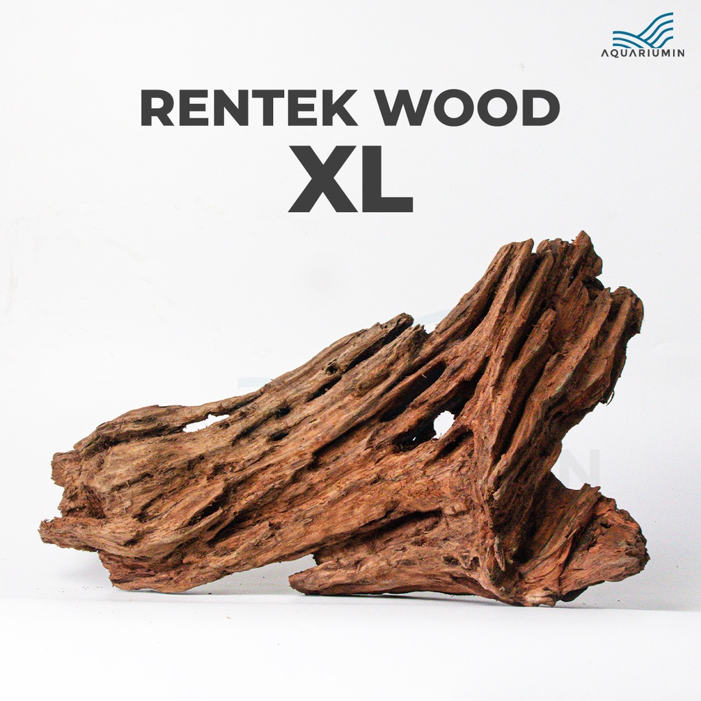 Kayu Rentek / Rentek Wood Size XL Aquascape Aquarium