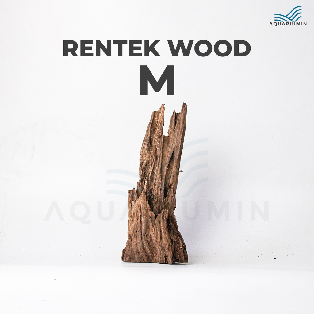 Kayu Rentek / Rentek Wood Size M Aquascape Aquarium