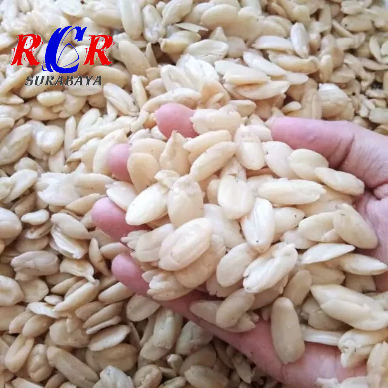

Kenari Kupas Mentah Pili Nuts Kacang Utuh Pecah