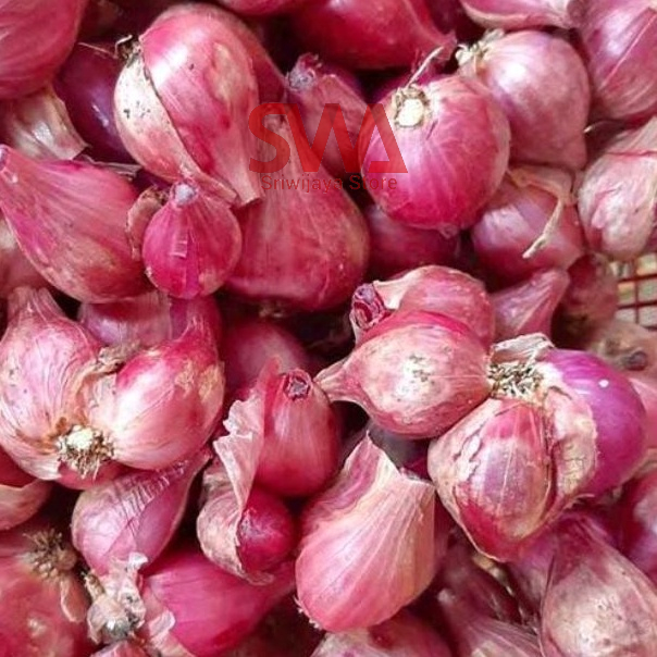 

Bawang Merah Lokal Kering bersih brambang