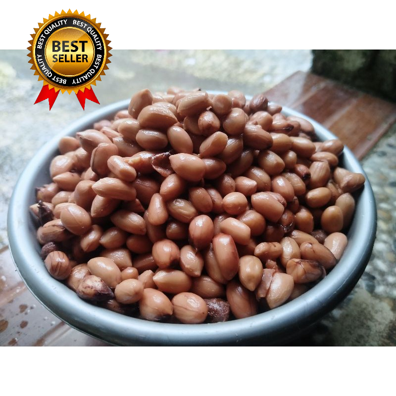 KACANG PRESTO PILIHAN UMPAN IKAN BAWAL UMPAN MASTERAN UMPAN HARIAN UMPAN BORONGAN