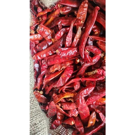 

CABE KERING TEJA PETIK PEDAS