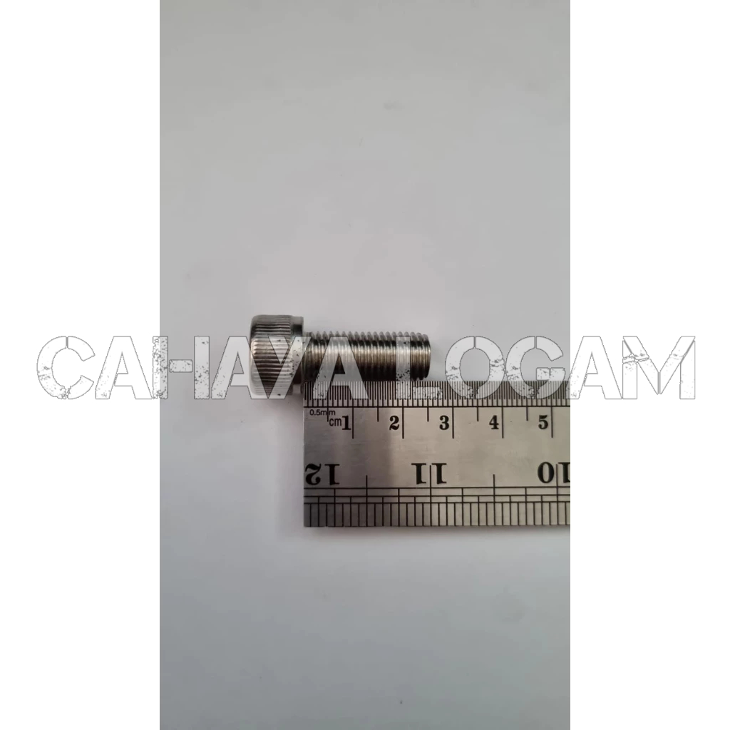 BAUT L STAINLESS M10X25