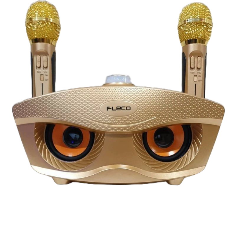 Speaker Bluetooth Karaoke Fleco FL-311  2 Mic Wireless