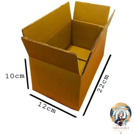 

Kardus Packing Bekas 22x12x10 Cm | Box Kardus Packing 22 x 12 x 10 | Online Shop