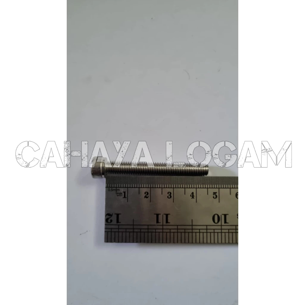 BAUT L STAINLESS M6X45