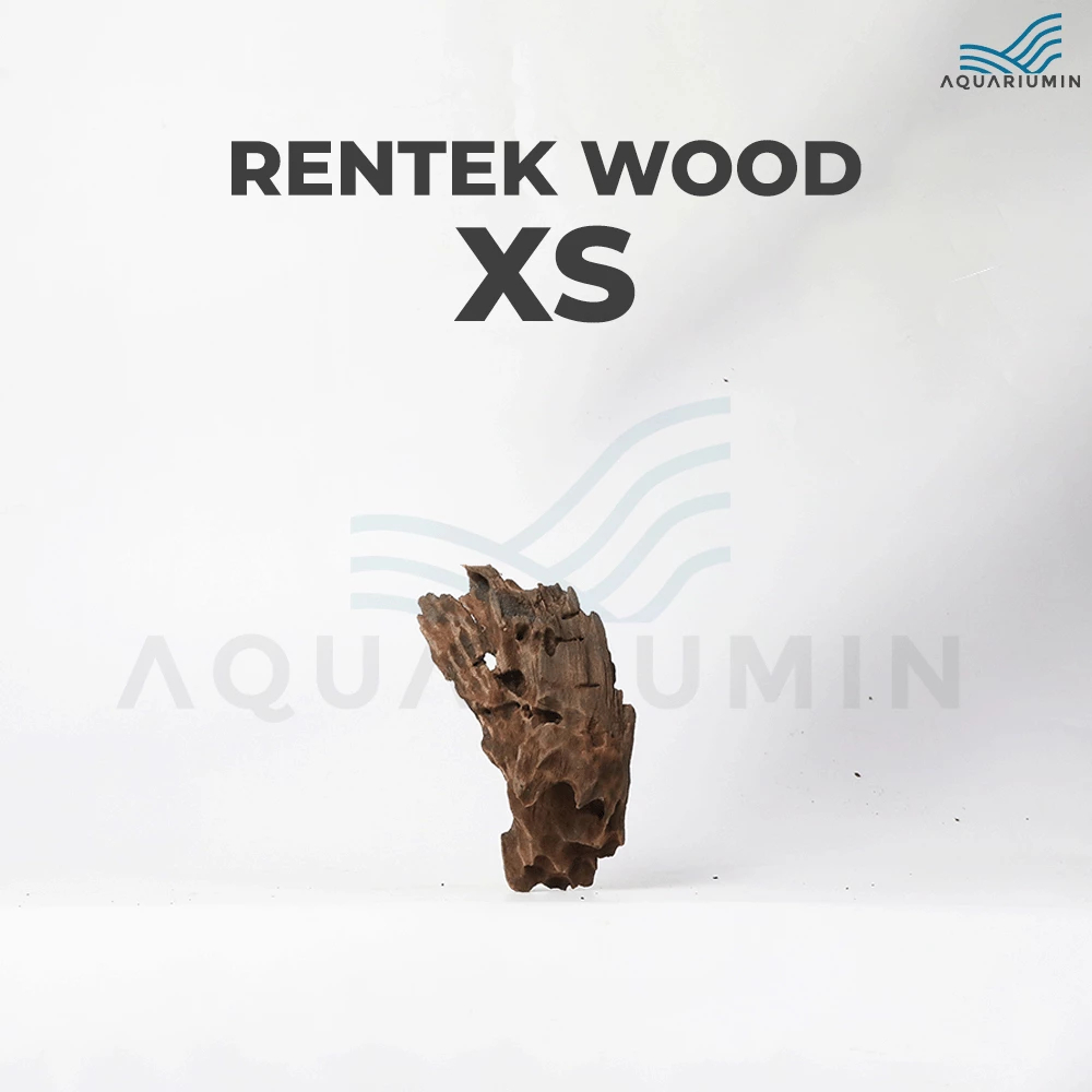 Kayu Rentek / Rentek Wood Size XS Aquascape Aquarium