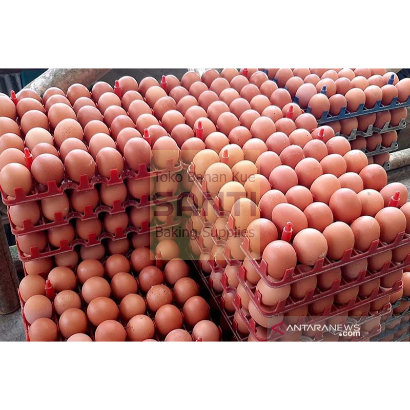 

Telur Ayam Negeri | 1 Papan / 30 butir (selalu baru/fresh)