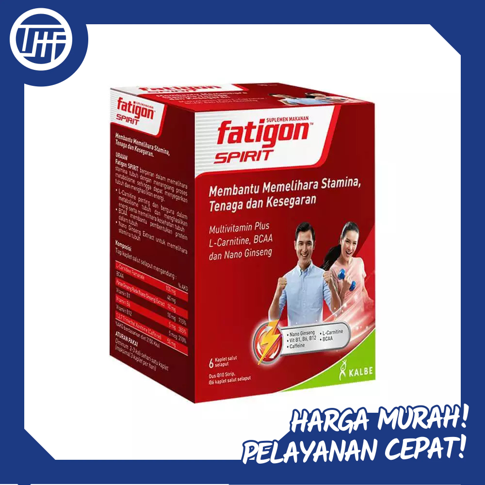 Fatigon Spirit 60`s Baru