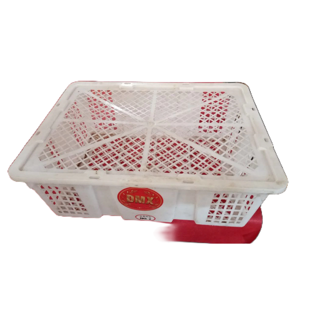 KERANJANG PLASTIK BUAH BEKAS KELENGKENG