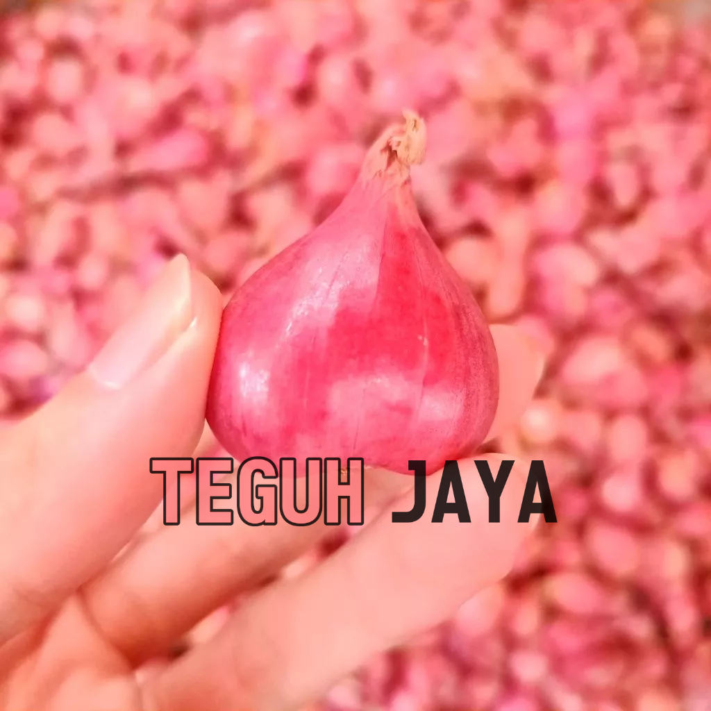 

BAWANG MERAH BREBES (FRESH!!!)