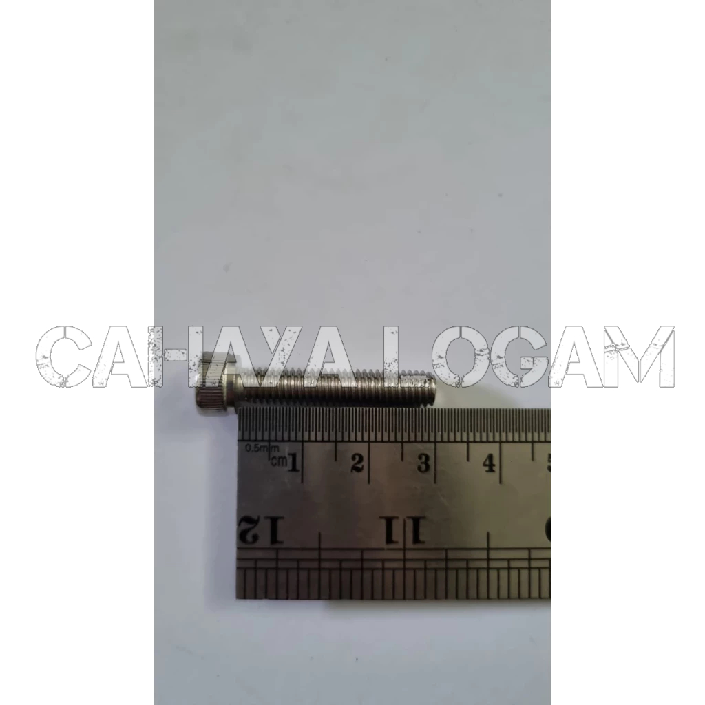 BAUT L STAINLESS M6X30