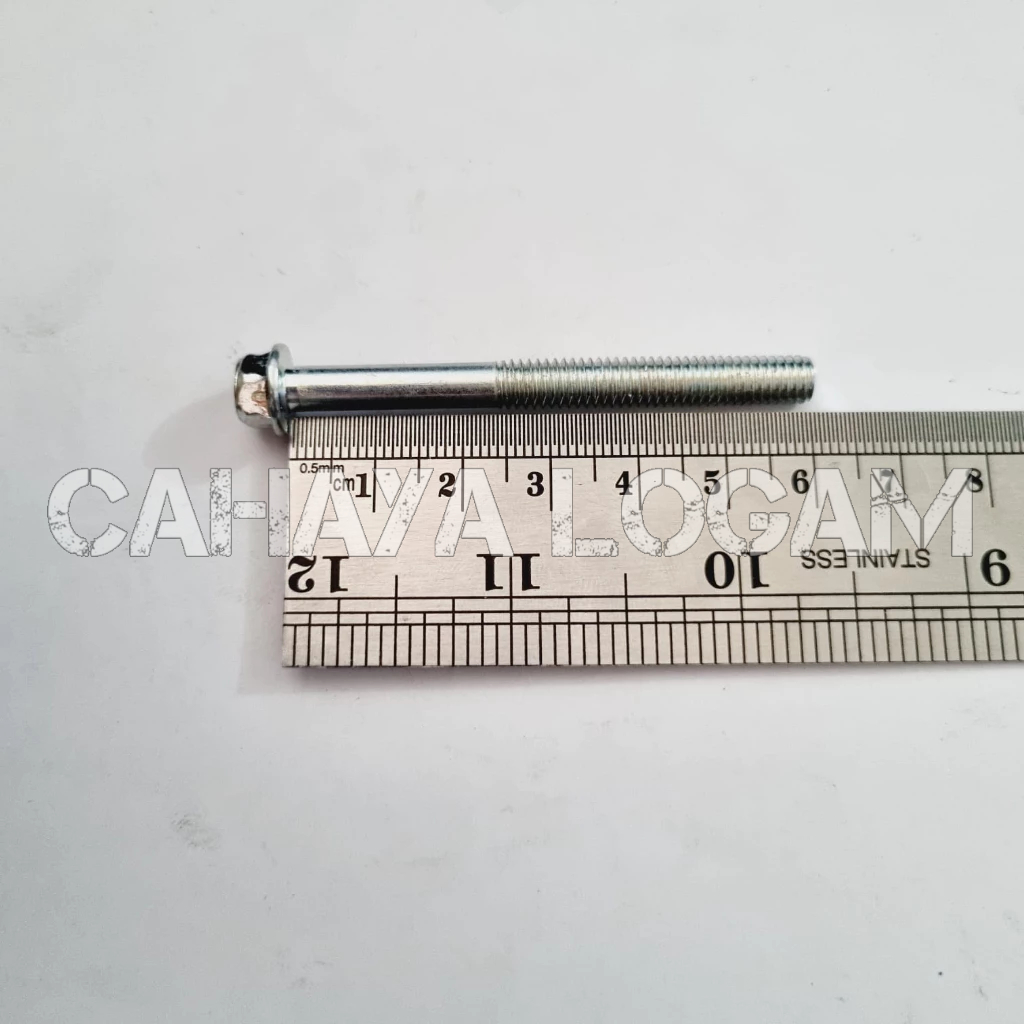 BAUT BLOK FLANGE BOLT M6 X 60 KUNCI 8