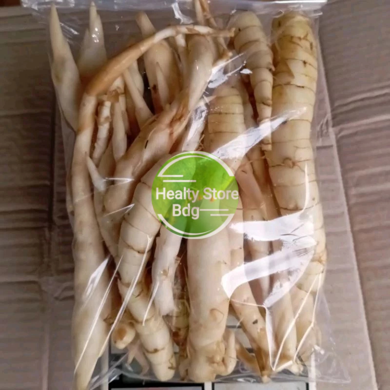 

Umbi garut atau sagu segar 500 gram