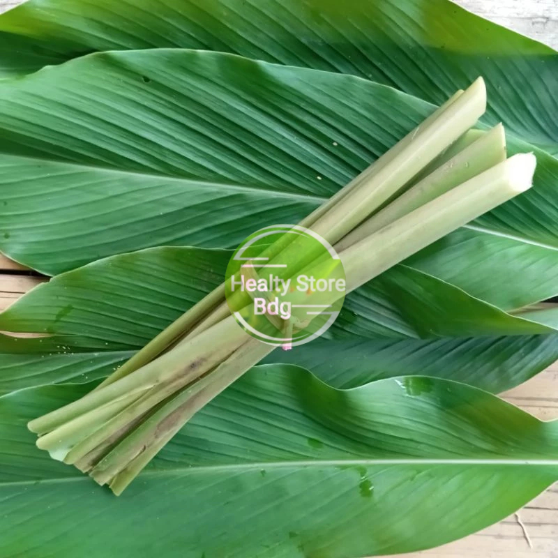 

Batang kunyit kuning segar 500 gram