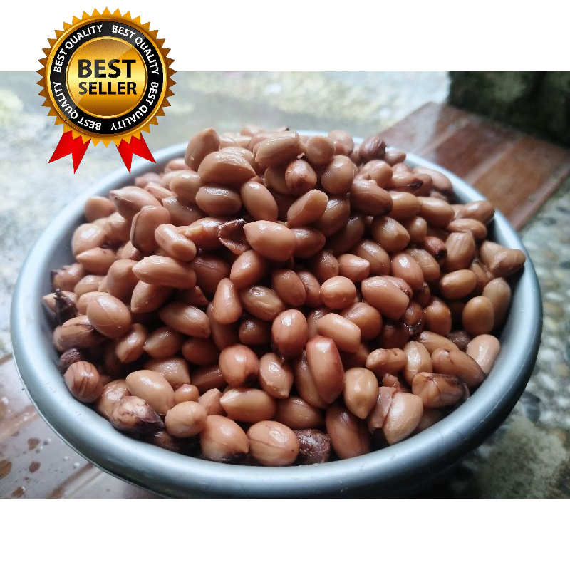  BEST SELLER  Umpan Ikan Bawal Kacang presto 1 kg || Ikan Bawal Masteran, Galatama, Harian dan lomba