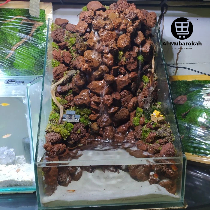 Paludarium Tebing Full Set 30cm Sudah Siap Pajang Homemade