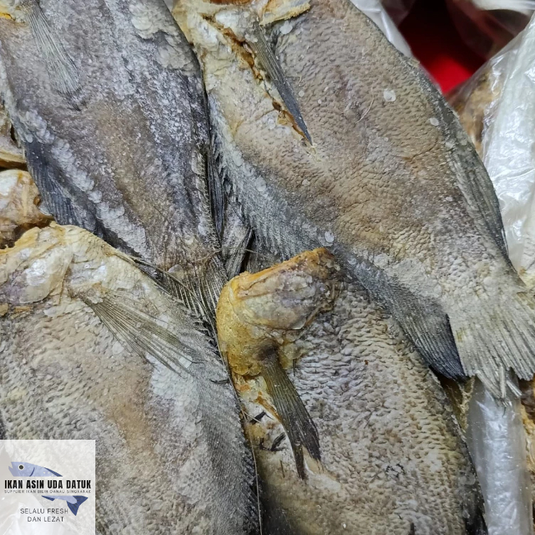 

IKAN ASIN SEPAT BESAR 1/4 KG