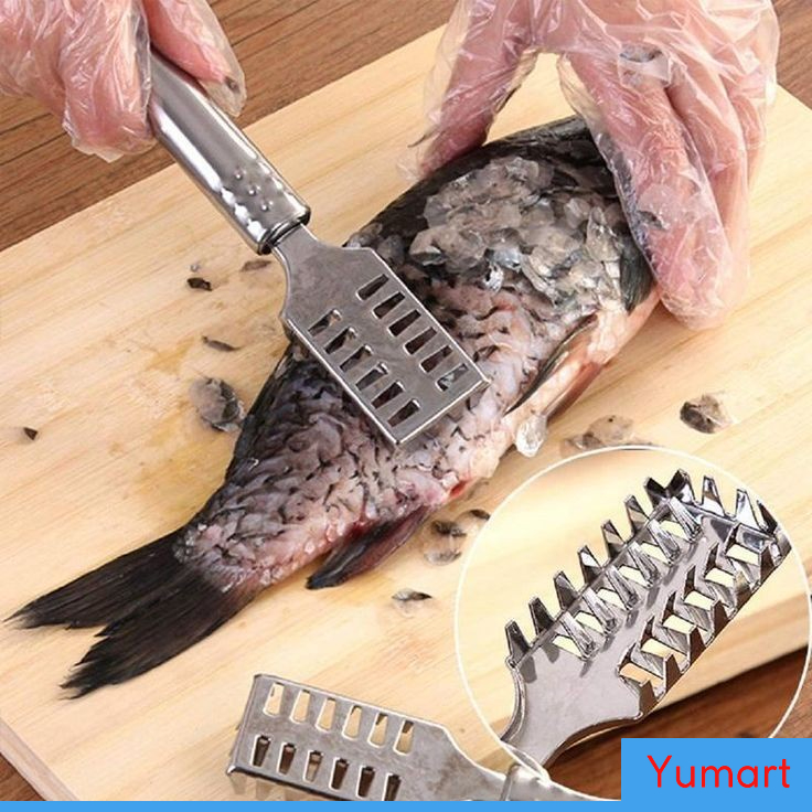 

Y82 Alat Pembersih Kerokan sisik ikan berbahan stainless