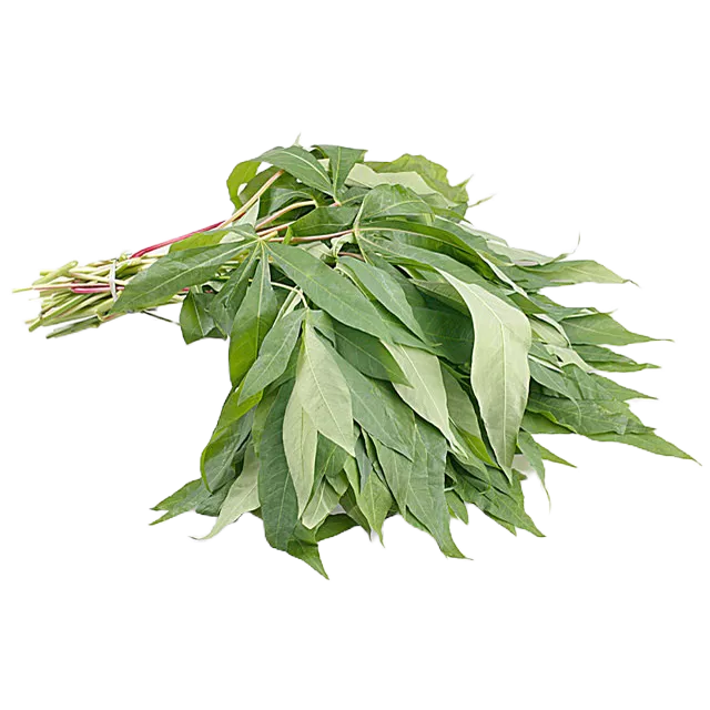 

Daun Singkong