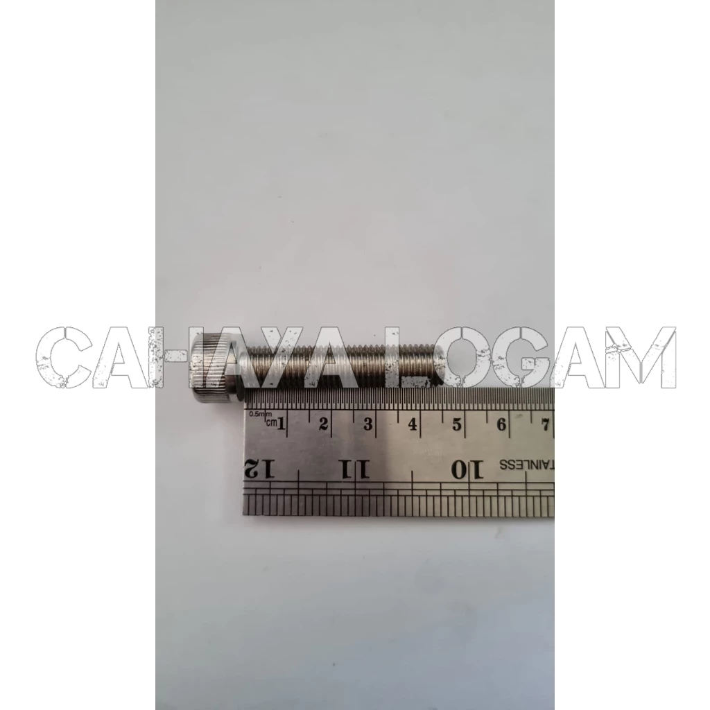 BAUT L STAINLESS M10X45