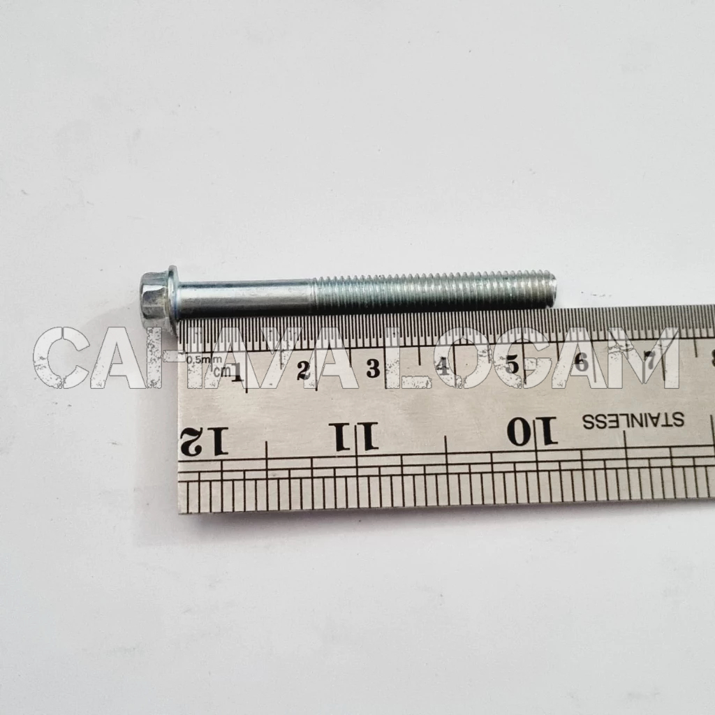 BAUT BLOK FLANGE BOLT M6 X 55 KUNCI 8