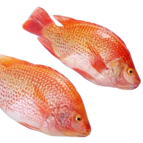 

IKAN NILA MERAH SEGAR 500gr