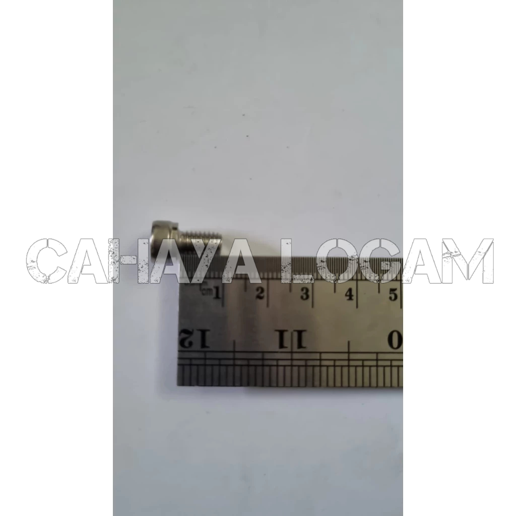 BAUT L STAINLESS M6X10