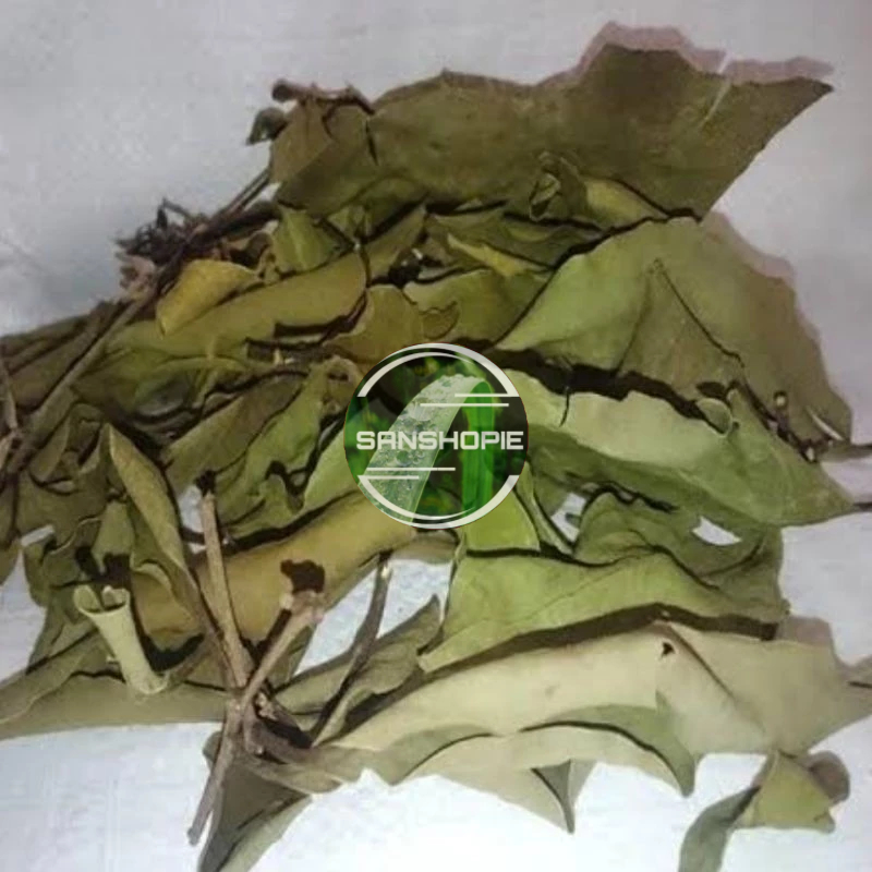 

Benalu pohon mangga kering 250 gram