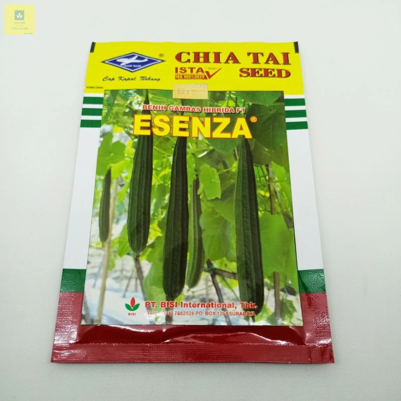 Benih Gambas Oyong ESENZA F1