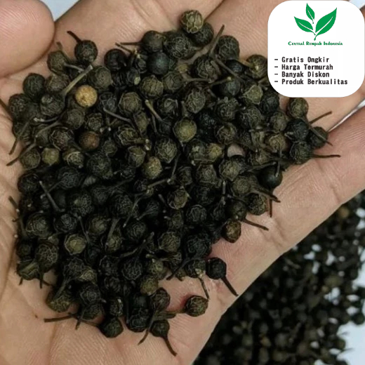 

1 Kg biji Kemukus Kering Piper Cubeba Kering Kualitas Premium Terbaik Untuk obat Herbal