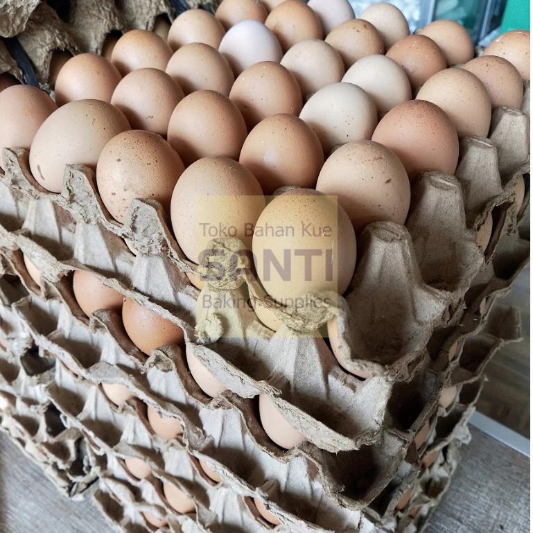 

Telur Ayam Negeri | 1 Papan / 30 butir (selalu baru/fresh)