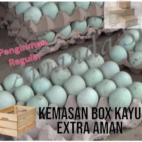 

Telur bebek mentah Langsung dari kandang gratis kemasan extra BOX