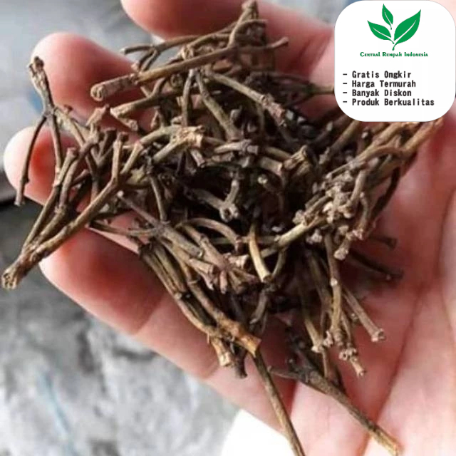 

Gagang Bagal Cengkeh Kering 1 Kg Premium Organik