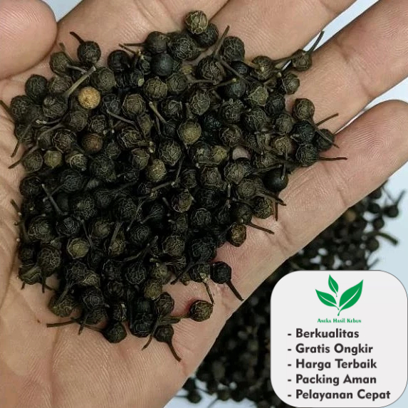 

biji Kemukus Kering Piper Cubeba 1 Kg Kering Kualitas Premium Terbaik Untuk obat Herbal