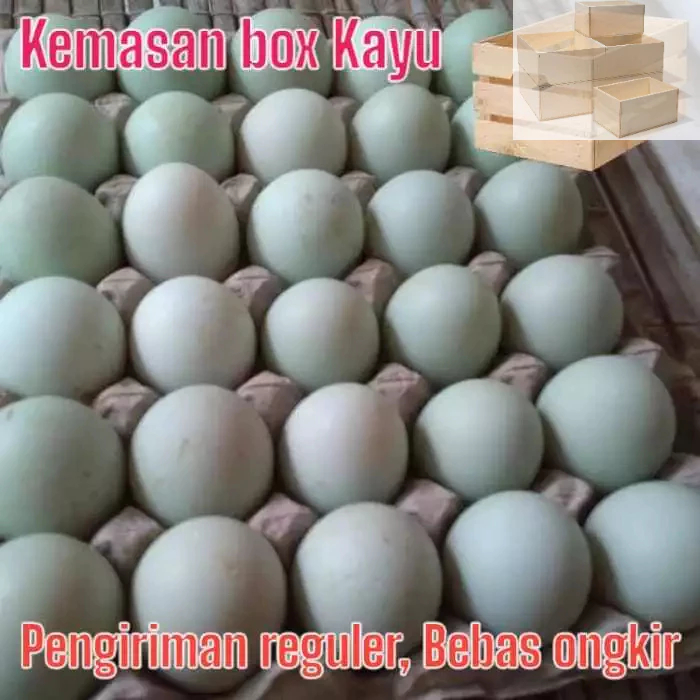 

Telur bebek mentah murah Langsung dari kandang gratis kemasan BOX aman