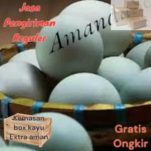 

Telur bebek mentah Langsung dari kandang gratis kemasan BOX aman
