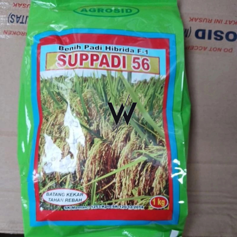 

Padi Hibrida Supadi 56 Barang JAMINAN OR1 Exp 06 2026