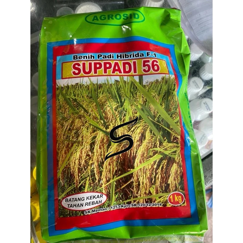 

BENIH SUPADI 56| BENIH PADI HIBRIDA|BENIH PADI AROMATIK|BENIH PADI HARGA TERJANGKAU|AGROSID|BENIH PADI HASIL MELIMPAH